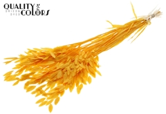 Droogbl Bewerkt H% 70cm 150gram