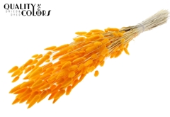 Droogbl Bewerkt H% 70cm 100gram
