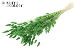 Droogbl Bewerkt H% 70cm 100gram