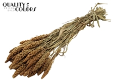 Droogbl Bewerkt H% 70cm 250gram