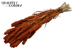 Gierst Natural Gierst Ora 70cm 250gram