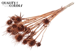 Cardi Nat 10 Copper+Glit