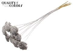 Achil 2-4cm Silver 60cm