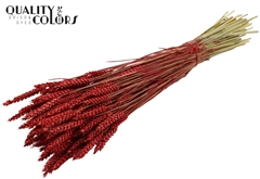Droogbl Bewerkt H% 60cm 220gram
