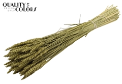 Droogbl Bewerkt H% 60cm 220gram