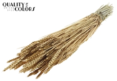 Droogbl Bewerkt H% 60cm 220gram