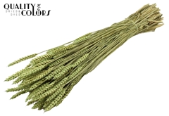 Droogbl Bewerkt H% 60cm 220gram