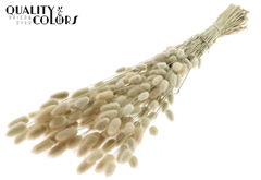 Dried Flowers 100 Gram 70cm 100gram