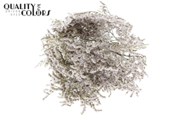 Limonium Natural 30cm 45gram