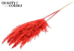 Droogbl Bewerkt H% 100cm