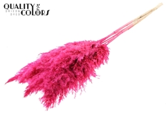Droogbl Bewerkt H% 100cm
