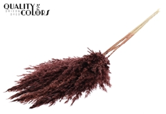 Droogbl Bewerkt H% 100cm