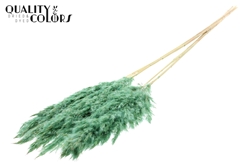 Droogbl Bewerkt H% 100cm