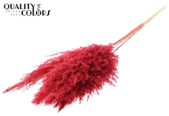 Droogbl Bewerkt H% 100cm