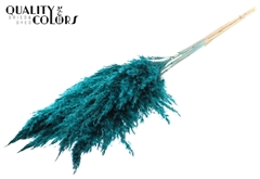 Droogbl Bewerkt H% 100cm