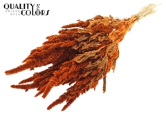 Amar Bunch Orange 60cm