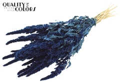 Amar Bunch Blue 60cm