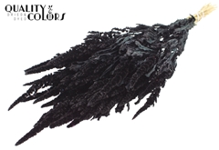 Amar Bunch Black 60cm