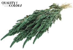 Amar Bunch Fr. Mint 60cm