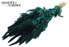 Amar Bunch Turquoise 60cm