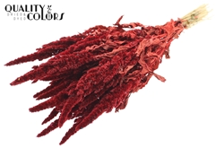 Amar Bunch Red 60cm