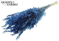 Avena Wild Blue 70cm 100gram