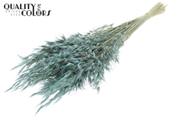 Avena Wild Li. Blue 70cm 100gram