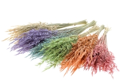Avena Wild Mix Frosted 70cm 100gram