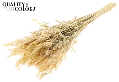 Avena Wild Natural 70cm 100gram