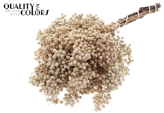 Pepperberries Bleached 170gram