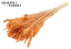 Droogbl Bewerkt H% 60cm