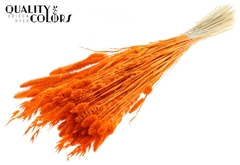 Droogbl Bewerkt H% 60cm