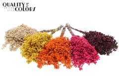 Pepperber Autumn Mix 170gram