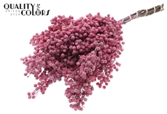 Pepperberries Fr Pink 170gram
