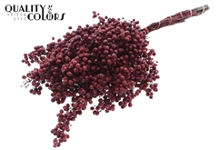 Pepperberries Bordeaux 170gram