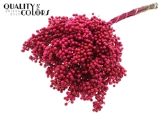 Pepperberries Cerise 170gram