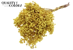 Pepperberries Yellow 170gram