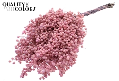 Pepperberries Pink 170gram