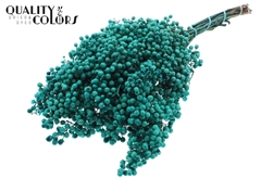 Pepperberries Turquoise 170gram