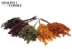 Pepperberries Pumpk Mix 170gram