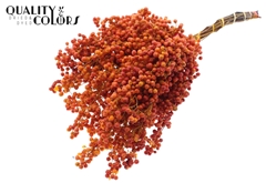 Pepperberries Terra 170gram