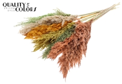 Pampas 70cm Summer Mix 70cm
