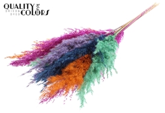 Pampas 70cm Neon D 70cm