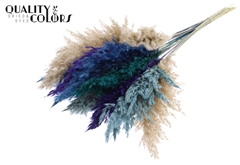 Pampas 70cm Scandin Mix 70cm