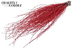 Birch 70cm Red