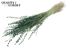 Lavendel Green 50cm
