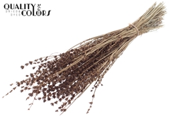 Lavendel Brown 50cm