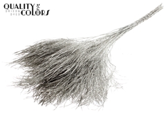 Asparagus Dyed Platina