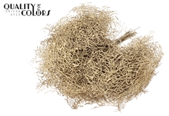 Coralfern Ant. Gold+Glit
