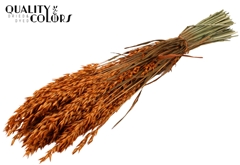 Avena Orange 60cm 250gram